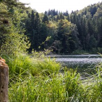 Lac de Bonlieu