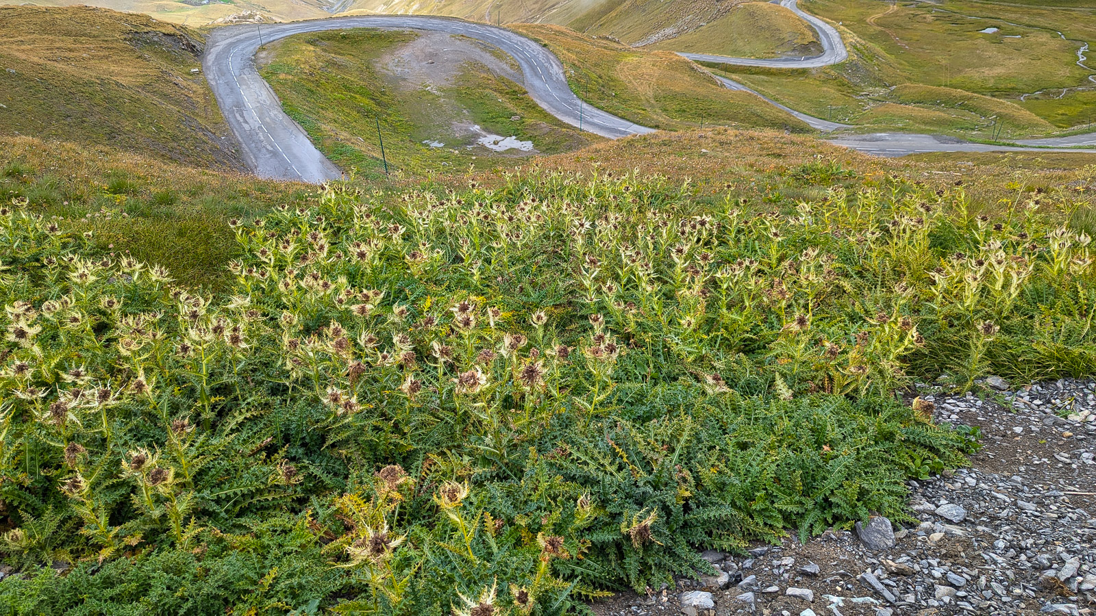 French Camping 2024, Day 15 Col du Galiber