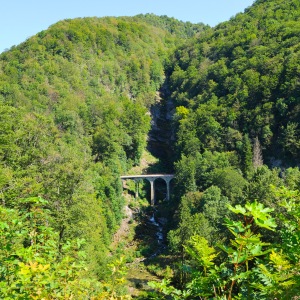 Gorges de la Saine