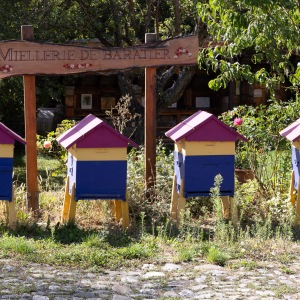 Baratier - Bee Hives