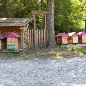 Baratier - Bee Hives