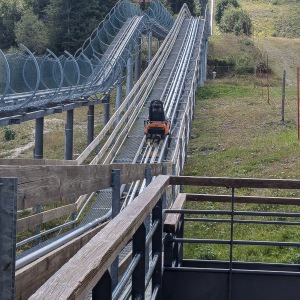 The Luge on Rails