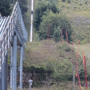 The Luge on Rails