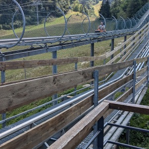 The Luge on Rails