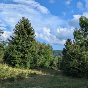 Camping caravaneige Jura Le Champ de Mars