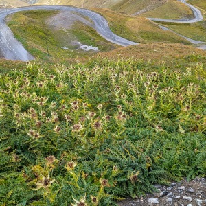 Col du Galiber