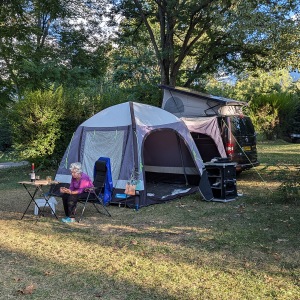 Campsite blackbird