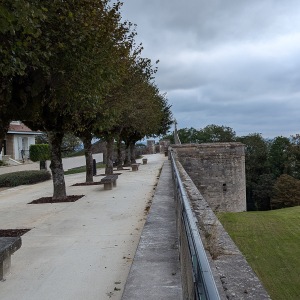 Fortified town of Langres