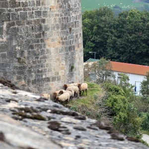 Fortified town of Langres