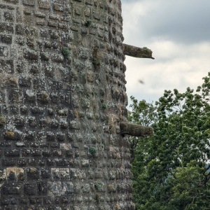 Fortified town of Langres