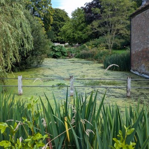 Cerne Abbas