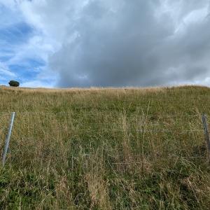 Cerne Abbas