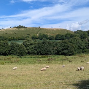 Cerne Abbas  - The Giant