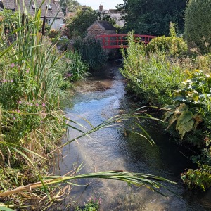 Cerne Abbas