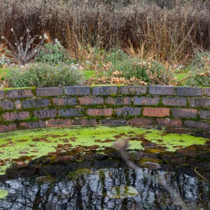 Winterbourne House & Garden