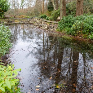 Winterbourne House & Garden