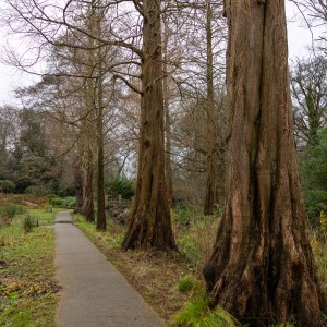 Winterbourne House & Garden