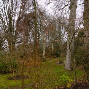 Winterbourne House & Garden