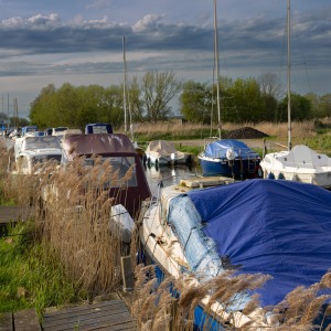 Norfolk - Martham