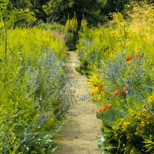 Oxford Botanic Garden