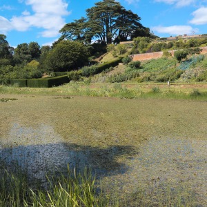 National Trust - Upton House