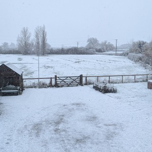 Snow in Kingswood