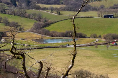 One Hundred House - Hill SIde