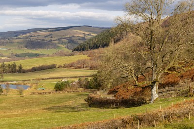 One Hundred House - Hill SIde